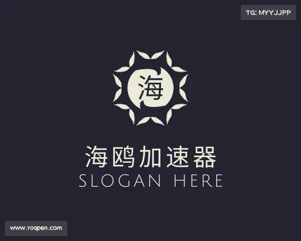 发现海鸥加速器